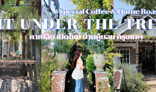 Cover SIT UNDER THE TREE Coffee and Pizza คู้บอน กรุงเทพ...