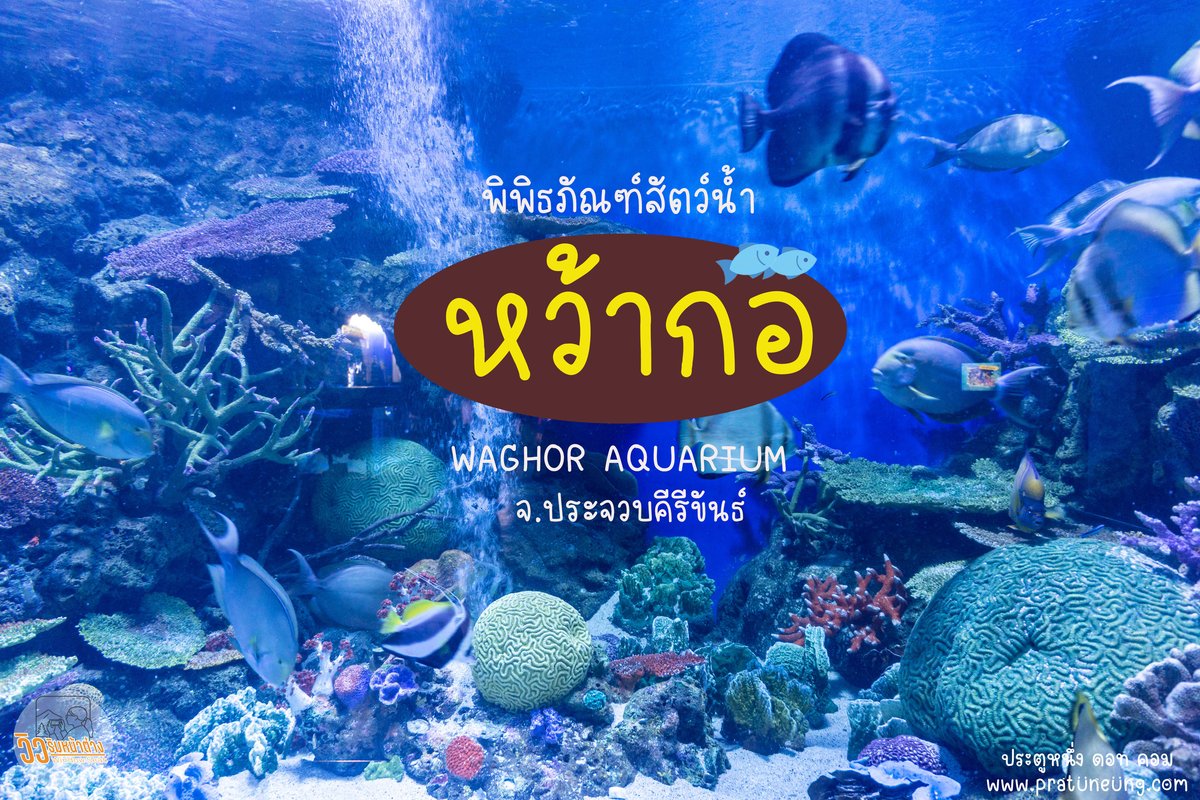 uwvs0q06bq4h