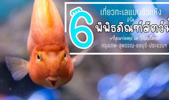 Cover เที่ยวทะเลแบบแห้ง ผ่าน  "6 พิพิธภัณฑ์สัตว์น้ำ "...