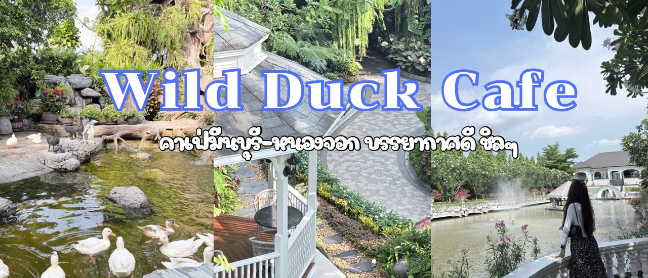 cover Wild duck cafe คาเฟ่มีนบุรี - หนองจอก เที่ยวชิลๆ ดูเป็ด ทานข้าว ถ่ายรูปสวยๆ เหมือนไปเขาใหญ่