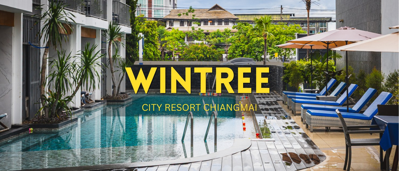 cover 💙 เชียงใหม่ฟีลดีเวอร์! ปักหมุดพิกัดพักร่าง Wintree รีสอร์ท ตามรอยคาเฟ่อาร์ตสุดคราฟท์ & ร้านอาหารญี่ปุ่นโฮมมี่ลับๆ