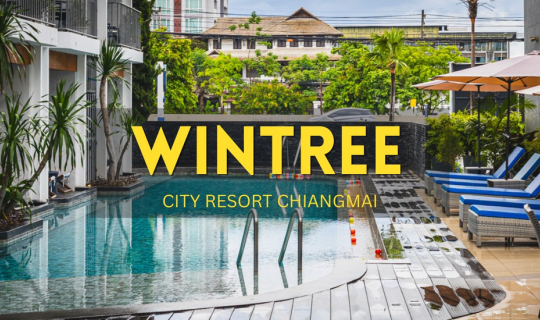 Cover 💙 เชียงใหม่ฟีลดีเวอร์! ปักหมุดพิกัดพักร่าง Wintree รีสอร์ท ตามรอยคา...