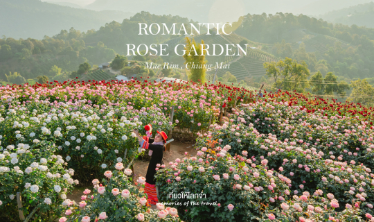 Cover สวนกุหลาบโรแมนติกชิดขอบฟ้า...