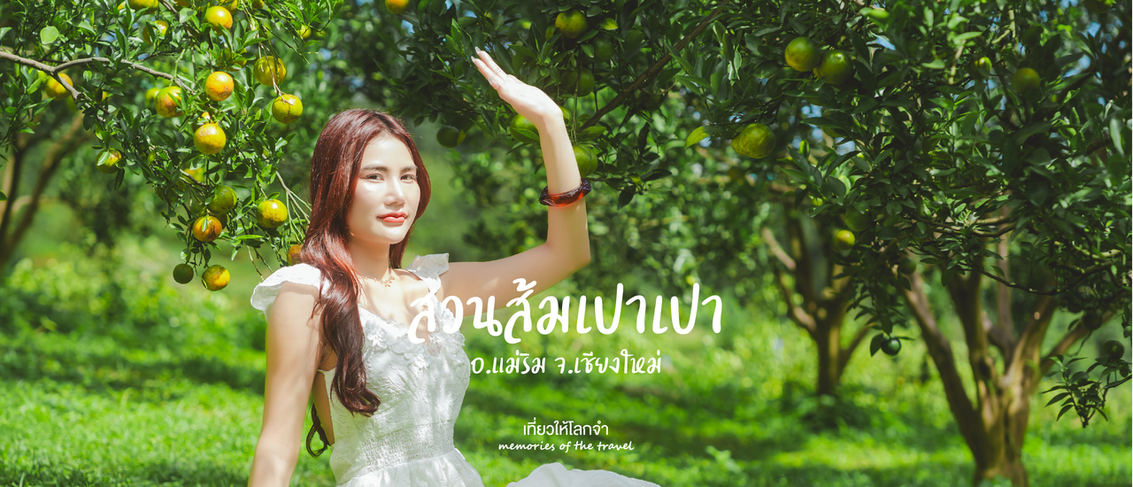 cover สวนส้มเปาเปา