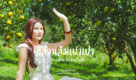 Cover สวนส้มเปาเปา...
