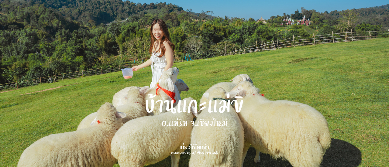 cover บ้านแกะแม่ขิ ม่อนแจ่ม จ.เชียงใหม่