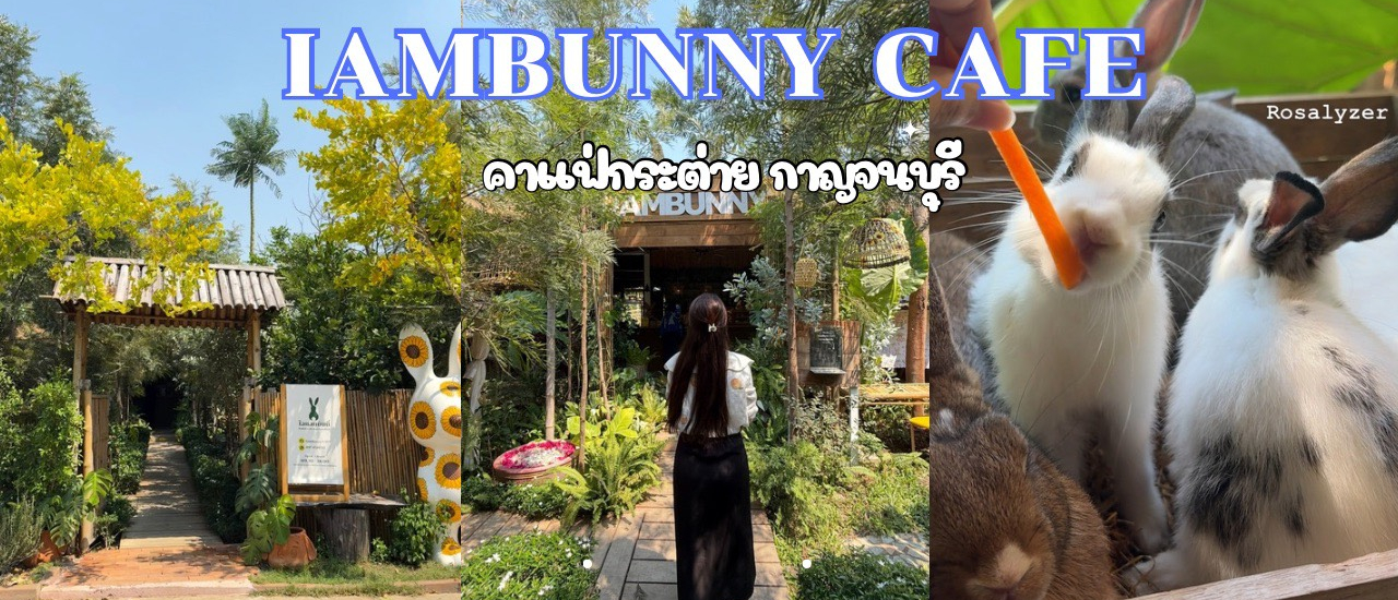 cover IAMBUNNY CAFE คาเฟ่กระต่าย ที่กาญจนบุรี ติดกับมอเตอร์เวย์ M81