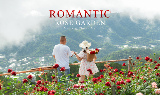 Cover อัพเดตสวนกุหลาบโรแมนติกชิดขอบฟ้า - เชียงใหม่ (สวนเปิด 7 - 20 ส.ค.69)...