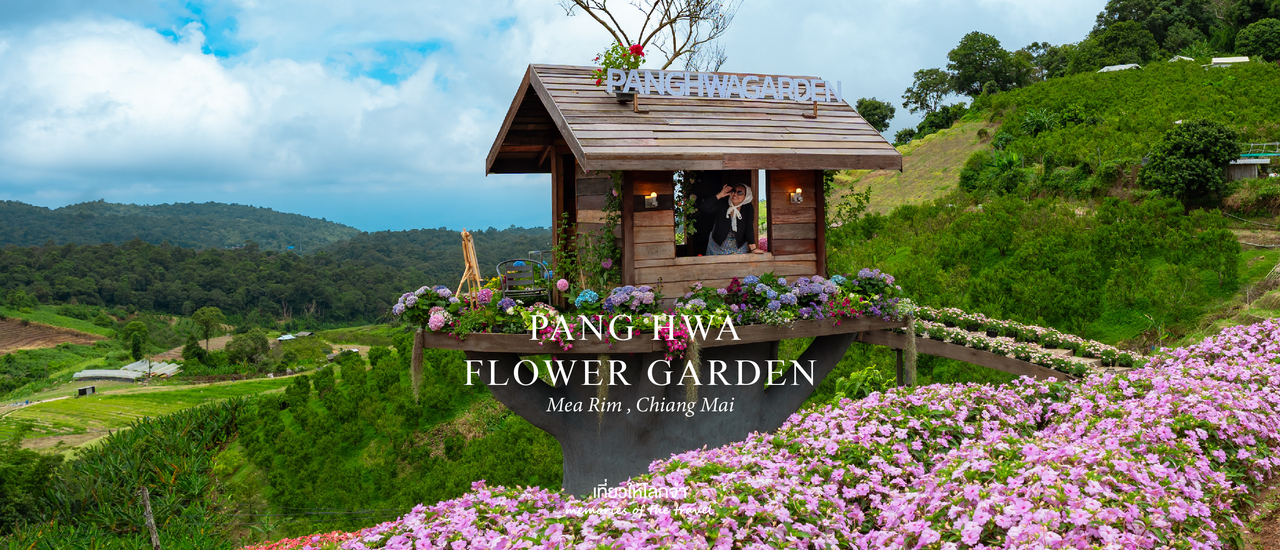 cover สวนดอกไม้ป้างฮวา-สวนส้ม (เชียงใหม่)