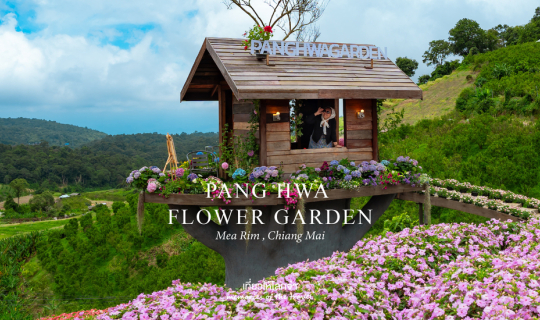 Cover สวนดอกไม้ป้างฮวา-สวนส้ม (เชียงใหม่)...