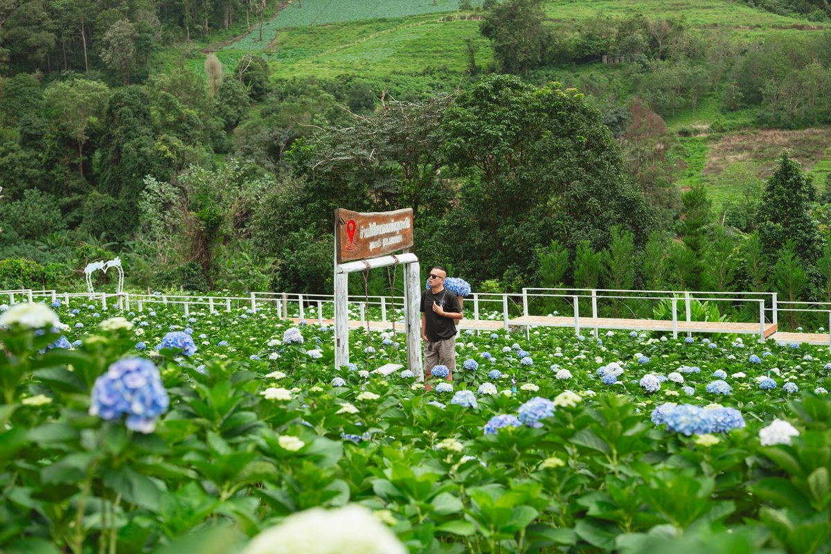 ivkiab936fs0