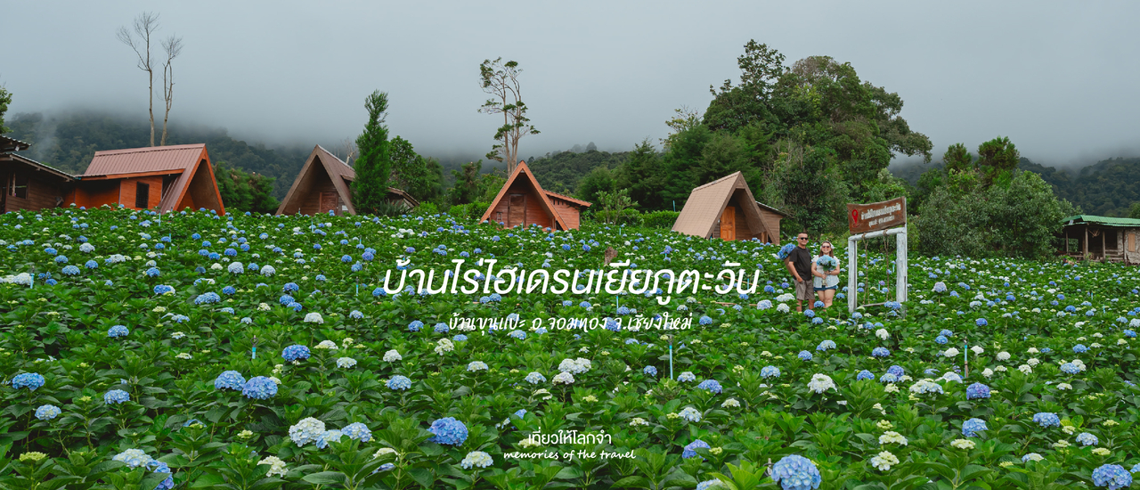 cover บ้านไร่ไฮเดรนเยียภูตะวัน - บ้านขุนแปะ อ.จอมทอง จ.เชียงใหม่