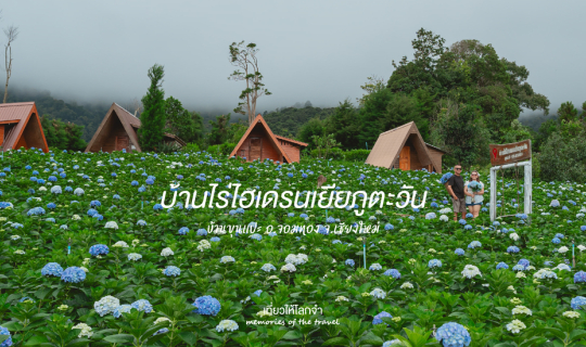 Cover บ้านไร่ไฮเดรนเยียภูตะวัน - บ้านขุนแปะ อ.จอมทอง จ.เชียงใหม่...