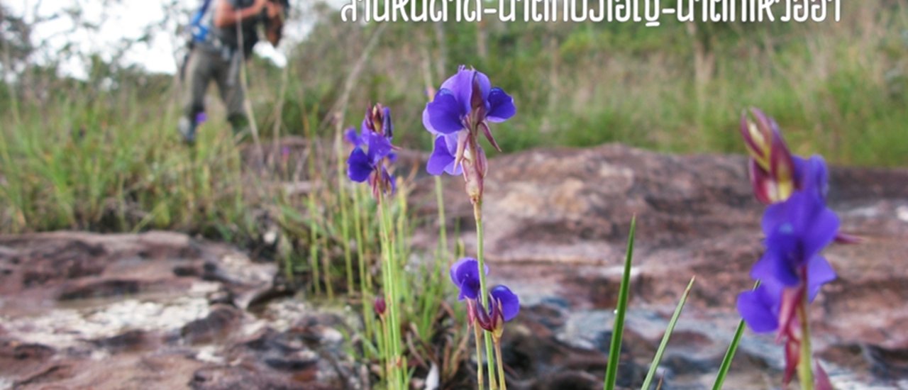 cover ลานหินดาด น้ำตกบังเอิญ น้ำตกเหวอีอ่ำ ทริปเดินป่า 3 วัน 2 คืน (มันส์ดีต่อใจ)