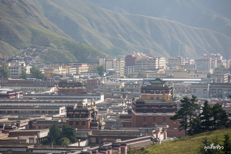 zj4w8p6pl49x