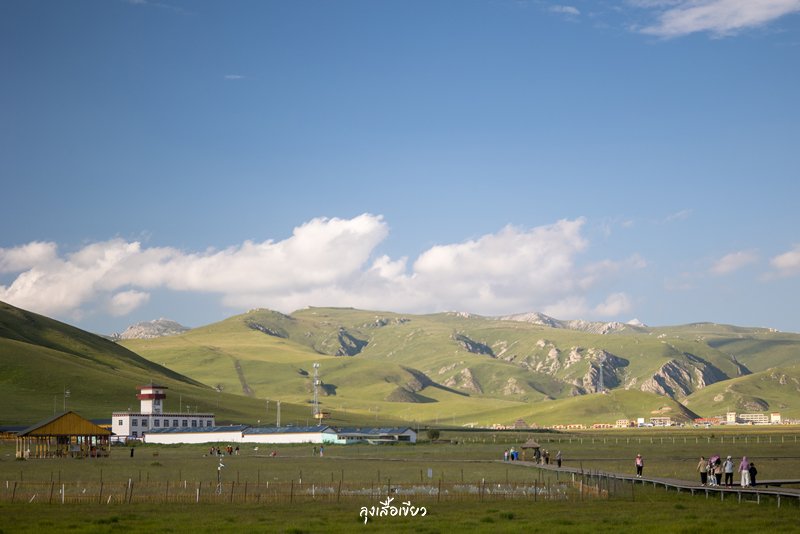 91p9utikozni