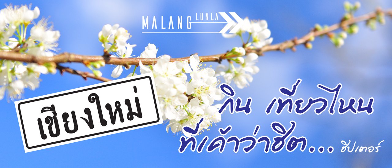 cover เชียงใหม่ กิน เที่ยวไหน ที่เค้าว่าฮิต...ฮิปเตอร์ By...Malang ลั้นลา