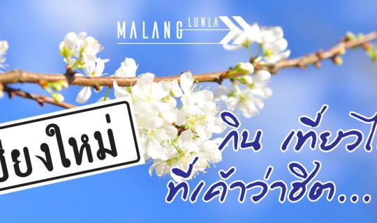 cover เชียงใหม่ กิน เที่ยวไหน ที่เค้าว่าฮิต...ฮิปเตอร์ By...Malang ลั้นลา