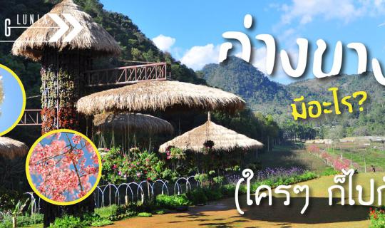 cover ดอยอ่างขางมีอะไร ใครๆ ก็ไปกัน By...Malang ลั้นลา
