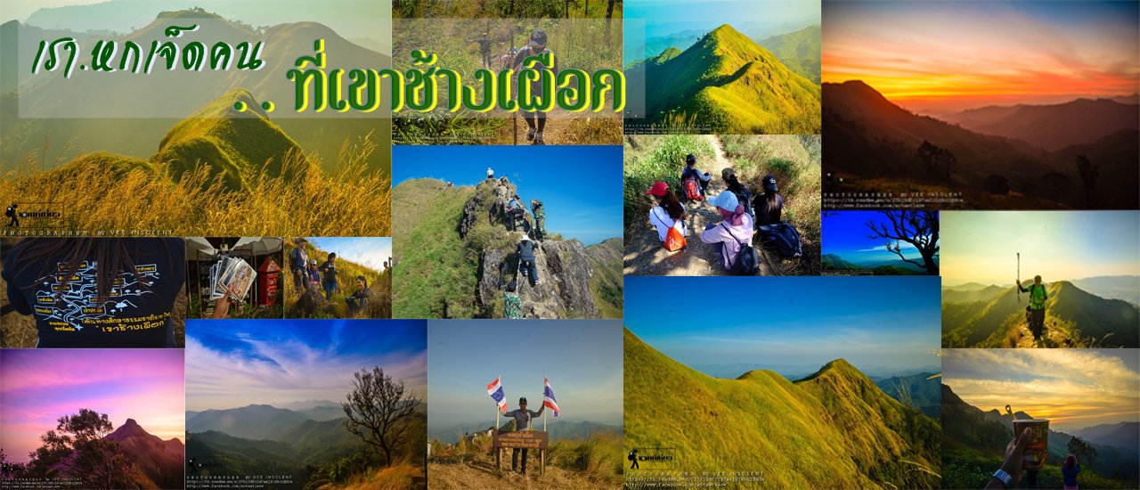 cover คิ + ด + ถึ + ง + เ + ข + า . .. . เลยหนีงานไปปีน เ ข า ช้ า ง เ ผื อ ก