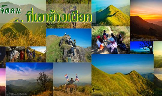 cover คิ + ด + ถึ + ง + เ + ข + า . .. . เลยหนีงานไปปีน เ ข า ช้ า ง เ ผื อ ก