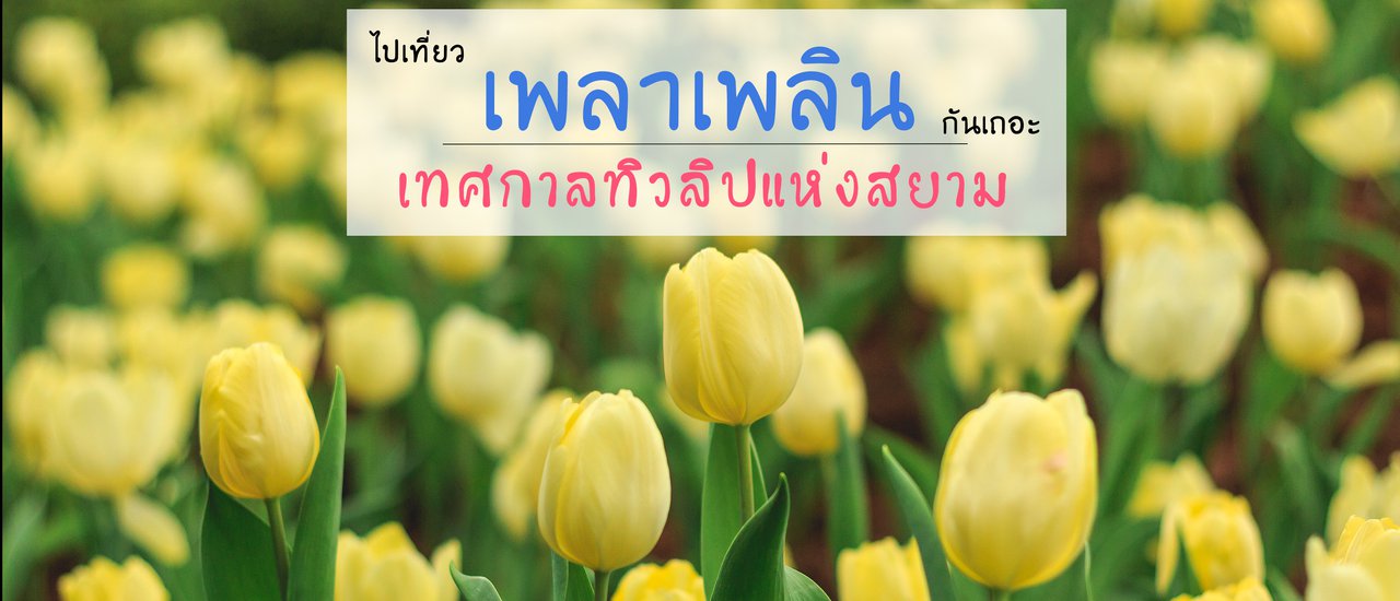 cover ไปเที่ยว เพลาเพลิน แลนด์มาร์คแห่งใหม่จ.บุรีรัมย์ กันเถอะ -พาวัวไปล่าม-