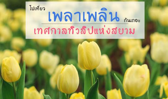 Cover ไปเที่ยว เพลาเพลิน แลนด์มาร์คแห่งใหม่จ.บุรีรัมย์ กันเถอะ  -พาวัวไปล่...