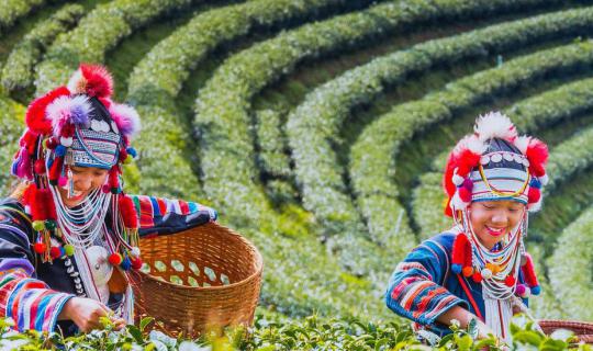 Cover เที่ยวเชียงราย ดูกิจกรรมชาวเขา และพระขี่ม้าบิณฑบาตร...