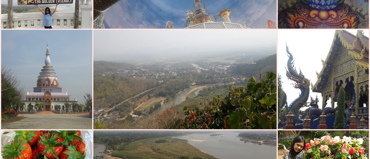 cover หม่ำสตอเบอรี่ลูกโต๊โตที่อ่างขาง นมัสการวัดท่าตอน ล่องชมวัดงามเชียงแสน-เชียงราย^^