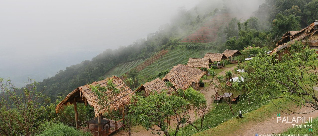 cover Chiang Mai, Two days and One night!!