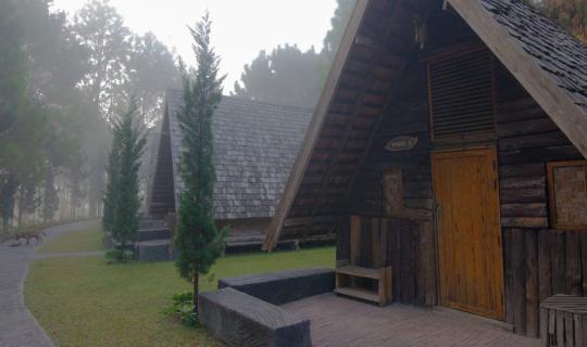 cover ที่นี่....โ ค ร ง ก า ร ห ล ว ง บ้ า น วั ด จั น ท ร์