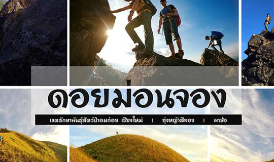 cover แบกเป้ เดินป่า ไปล่า โด รา เอ ม่อนจอง!! ทองไปทั้งภูเขา