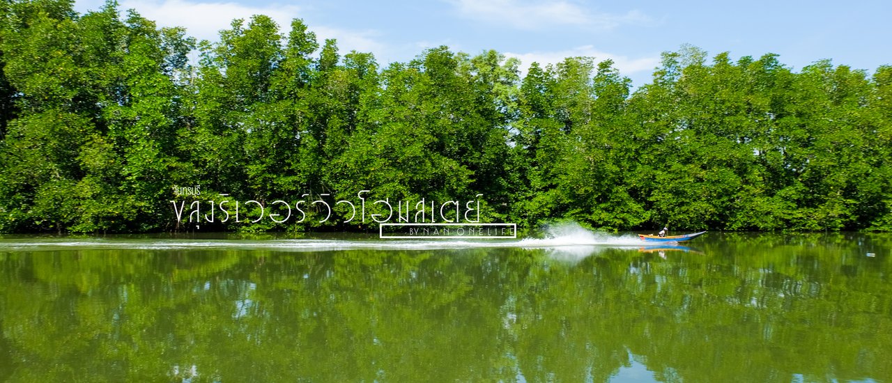 cover ฟินไปกับบุปเฟ่อาหารทะเล แล้วไปนอนไกวเปล อยู่ในป่าชายเลน เฮ้..