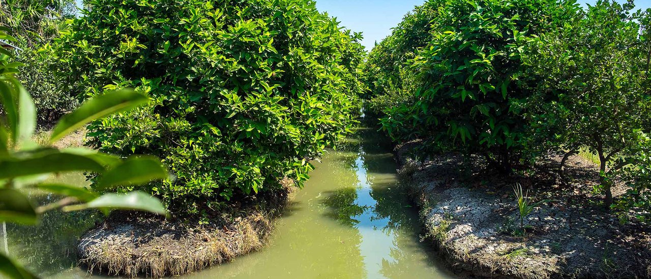 cover Pomelo Café : กินสเต็ก จิบกาแฟชิลๆ ที่ริมสวนนครชัยศรี