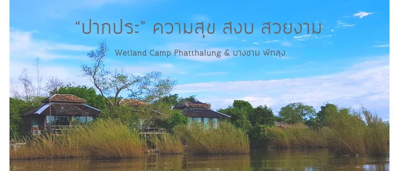 cover "ปากประ" ความสุข สงบ สวยงาม เอนกายที่ "Wetland Camp" อิ่มท้อง "บางชาม"