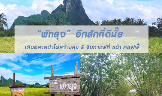 cover "พัทลุง" อีกสักที่ดีมั๊ย --เดินตลาดป่าไผ่สร้างสุข & จิบกาแฟที่ ขนำ คอฟฟี่--