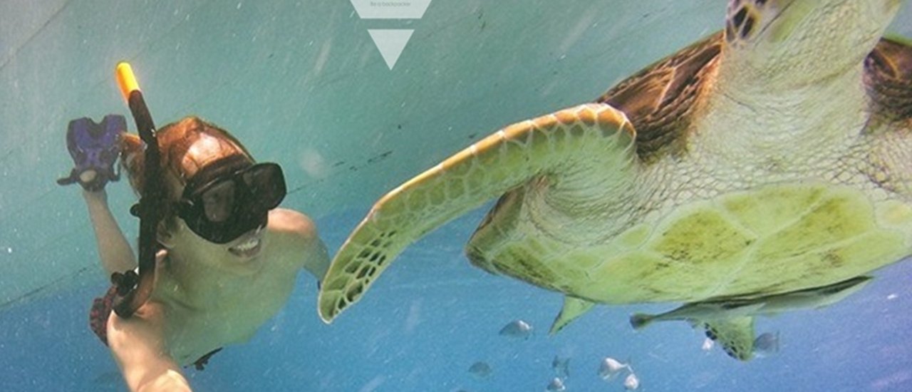 cover When the Heart is Not Well, Let the Sea Heal it!