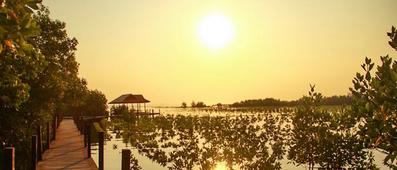 cover ทริปเล็กๆ...ทุ่งโปรงทอง กับ เสน่ห์ทะเลระยอง แม่พิมพ์