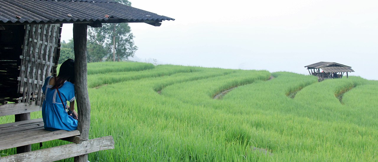 cover #น้องภูพิงค์ตะลอนเที่ยว 4 นาขั้นบันได จ.เชียงใหม่ ###