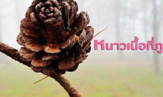 Cover หนาวเนื้อที่ภูเรือ...