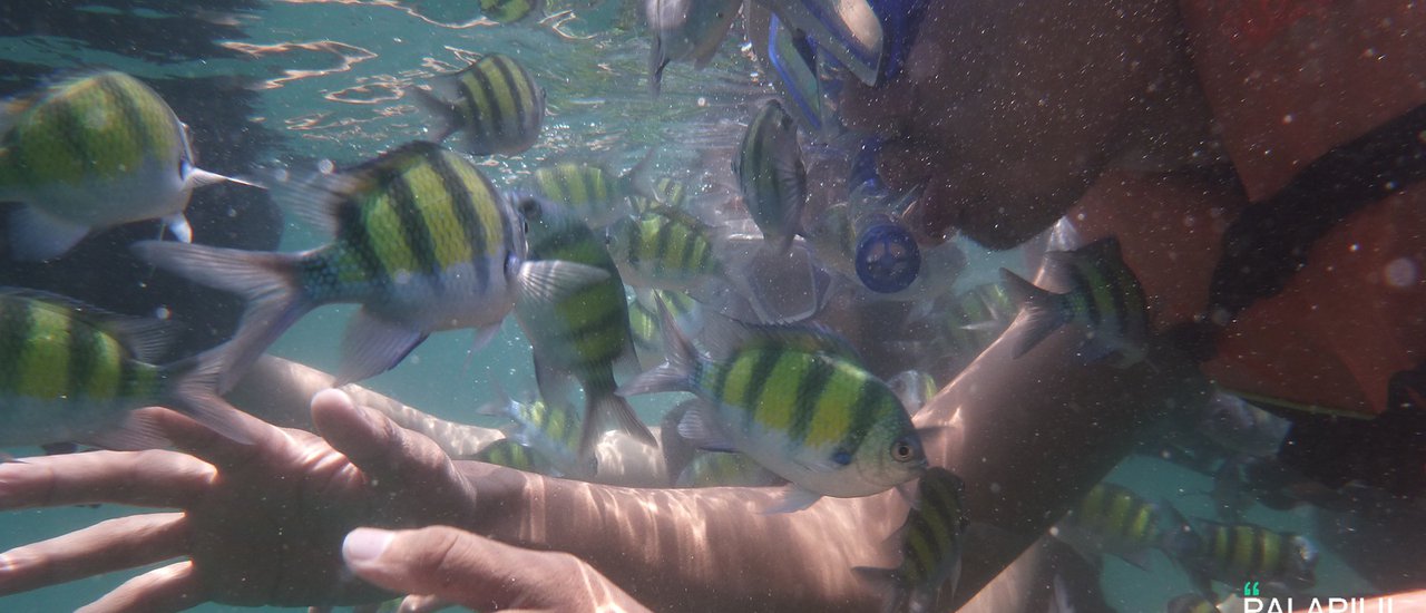 cover Invite friends on internet to travel at Lipe island together