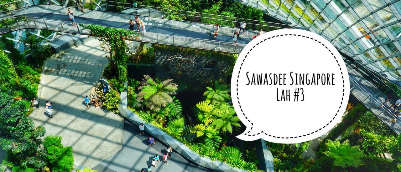 cover Sawasdee Singapore Lah มือใหม่จะพา......ไปเที่ยวสิงคโปร์ # 3
