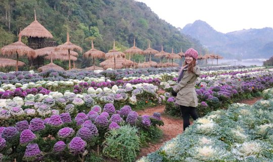 cover รีวิวการเดินทางจากหัวลำโพง รถไฟขบวนใหม่(อุตราวิถี) ไป "ดอยอ่างขาง" แดนมหัศจรรย์ ที่มีอากาศเย็นๆ ทั้งปี <3