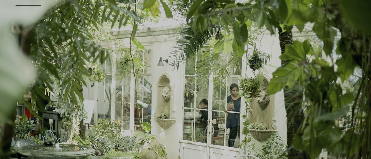 cover Little Tree Garden นั่งจิบกาแฟชิมขนมอร่อยในสวนสวยๆบรรยากาศสีเขียว
