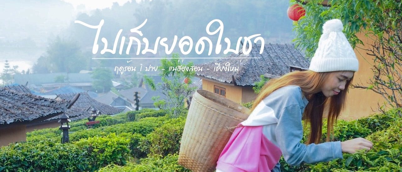 cover ฤดูร้อนสไตล์ ปาย - แม่ฮ่องสอน -เชียงใหม่ 20 องศาพาฟิน