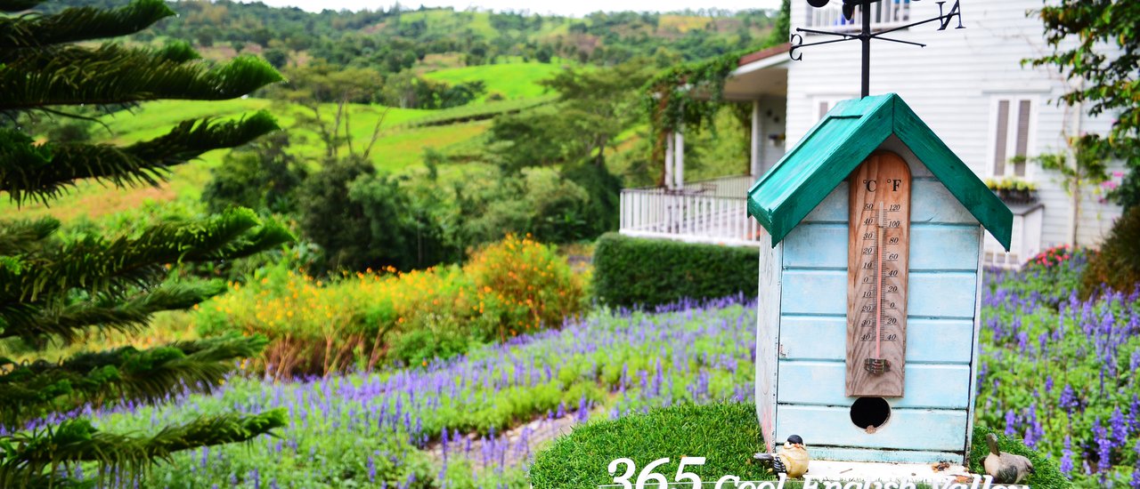 cover Season changes at Khao Kho, open my eyes and relax my mind @ The Blue Sky Khao Kho