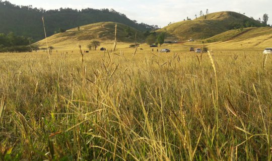 cover Lovely Ranong : To travel at Grass Mountain and explore Myanmar's islands ^^