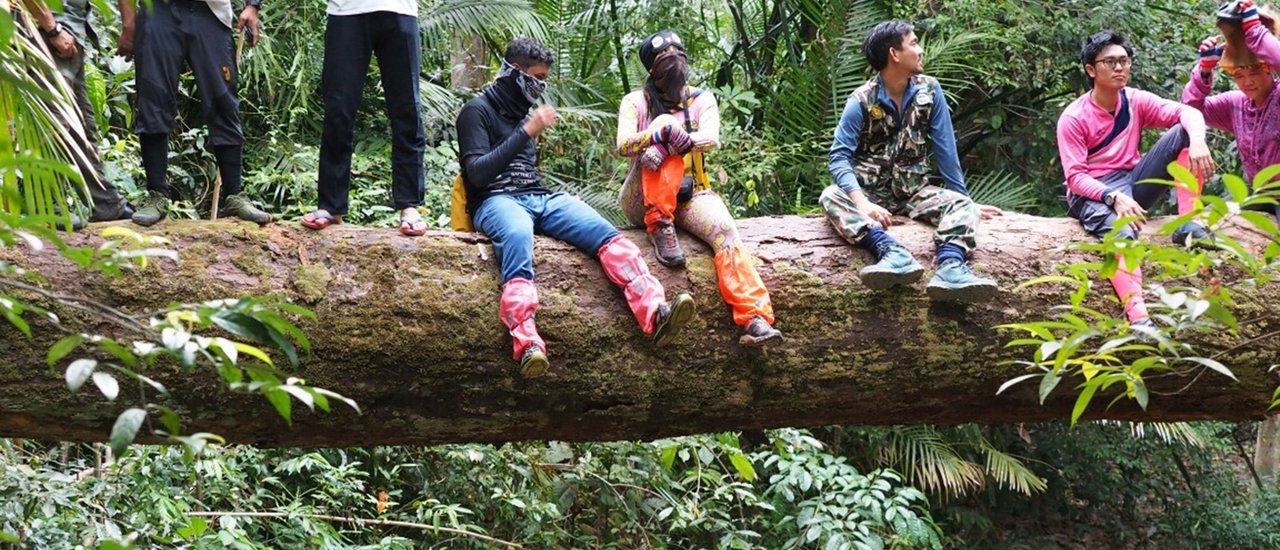 cover เดินป่าทริปสำรวจ "เขากาหมิง" จ.สตูล รอยต่อระหว่างป่าสงวนแห่งชาติหัวกาหมิง เขตรักษาพันธุ์สัตว์ป่าโตนงาช้าง