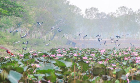 Cover หยิบเสื้อคอกระเช้า ใส่ผ้าถุง เที่ยวธรรมชาติสุด UNSEEN ใจกลางเมืองตาก...