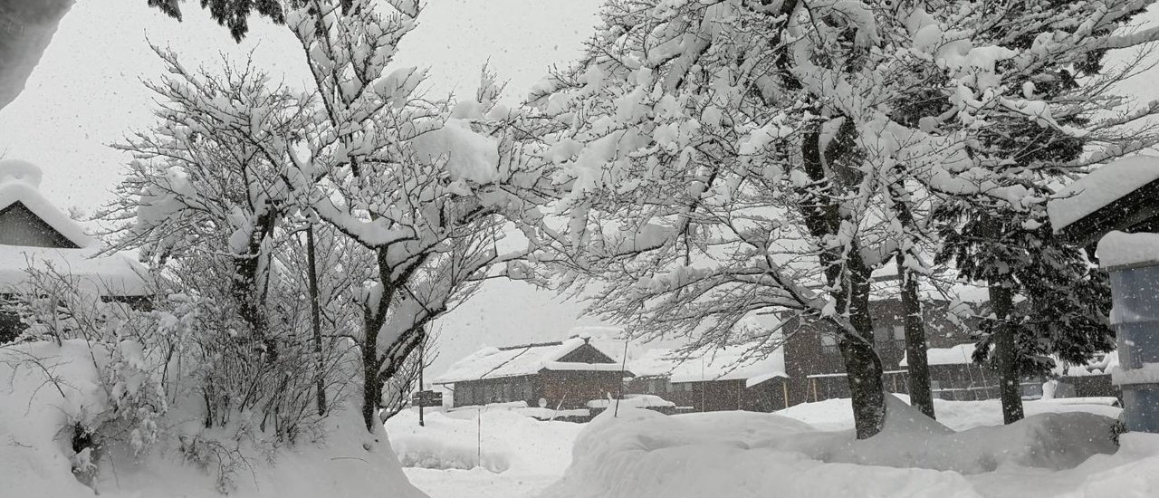 cover จุดเล็กๆเรียกกันว่าหิมะ @ชิราคาวาโกะ (Shirakawago)